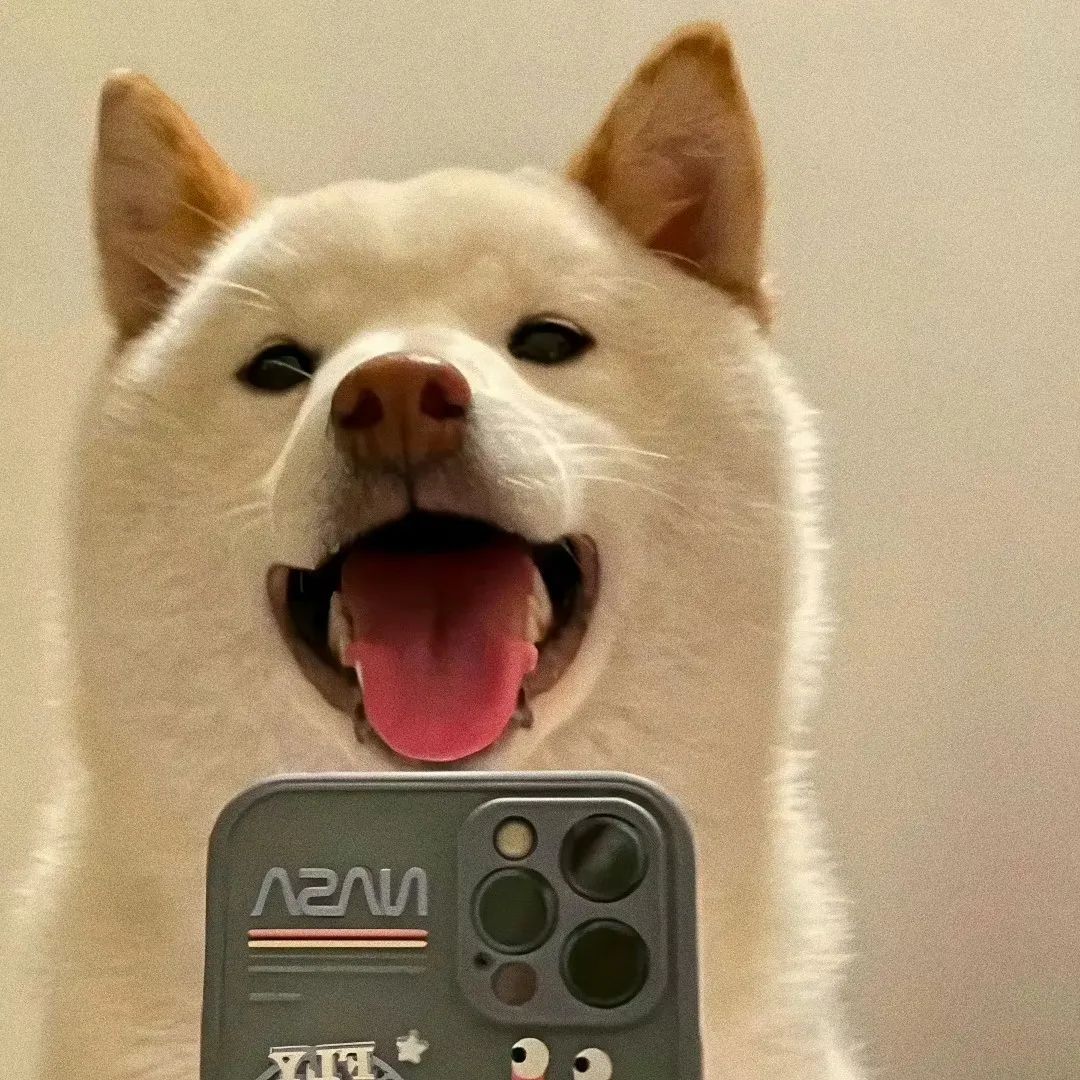 oscamo6的头像-黑马创业网