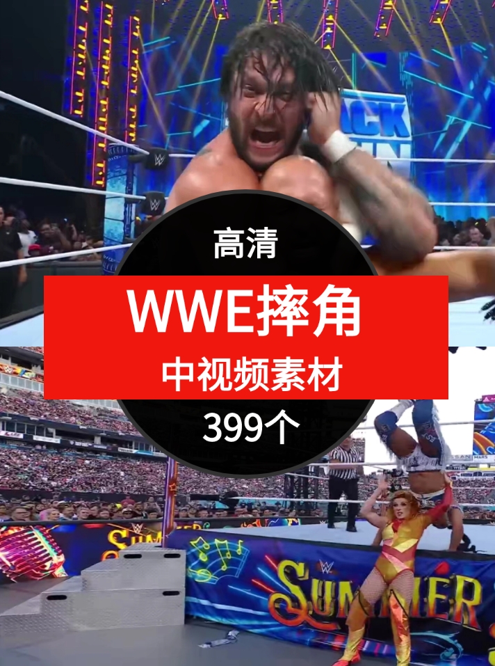 M214-WWE摔角视频-黑马创业网