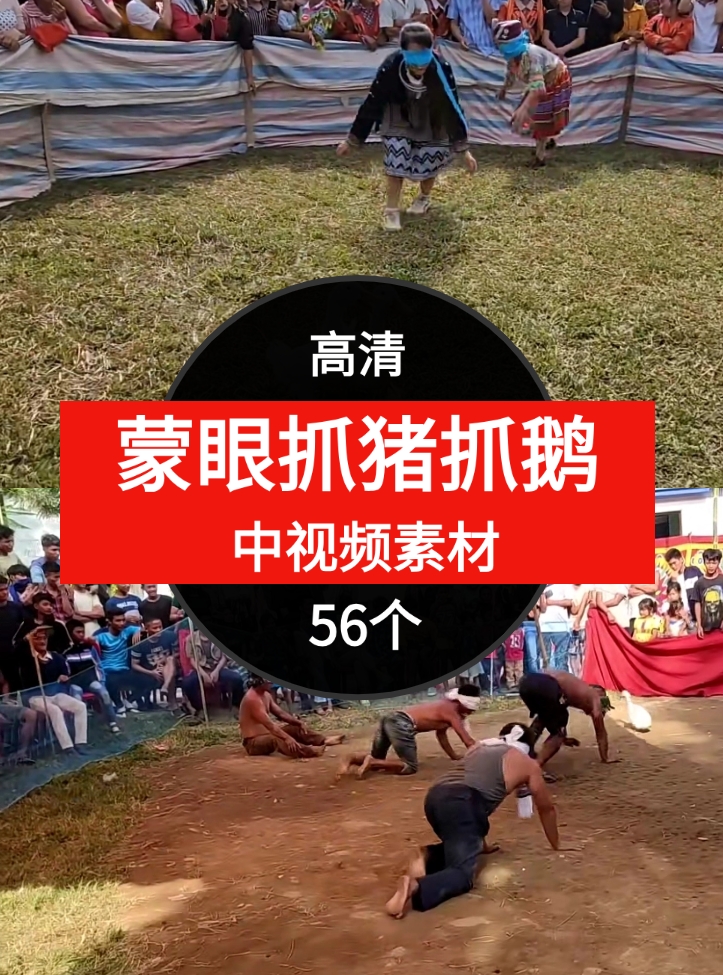 蒙眼抓猪抓鹅视频素材中视频素材-56个-黑马创业网