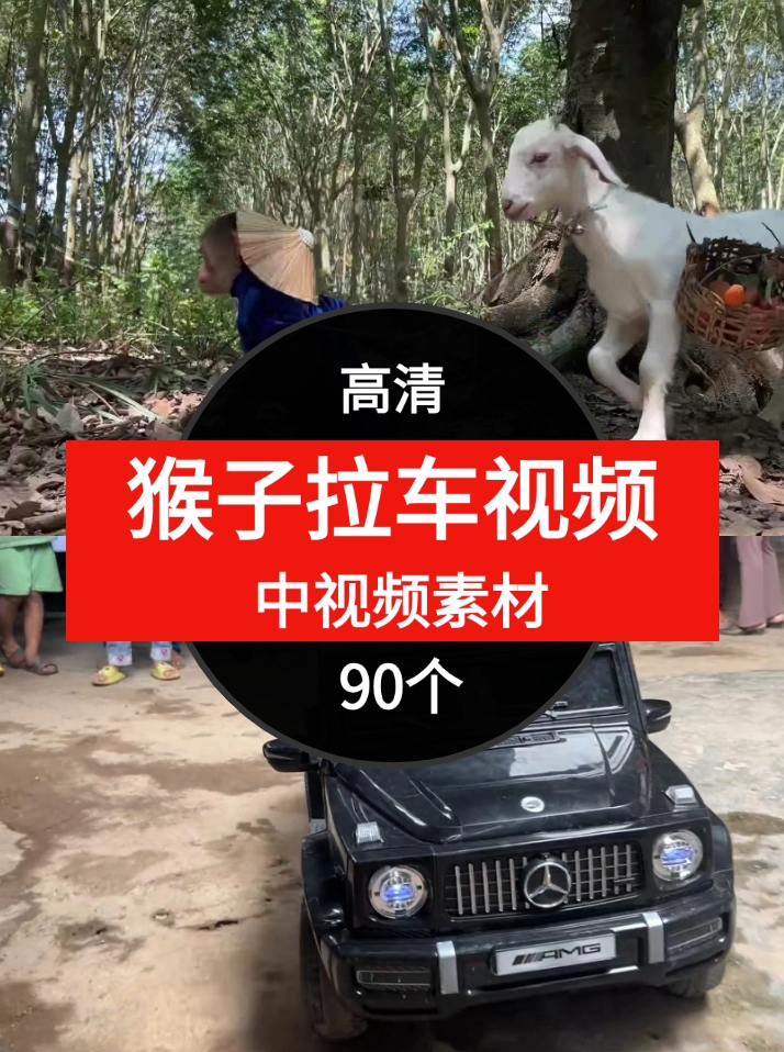 猴子拉车视频素材中视频素材-90个-黑马创业网