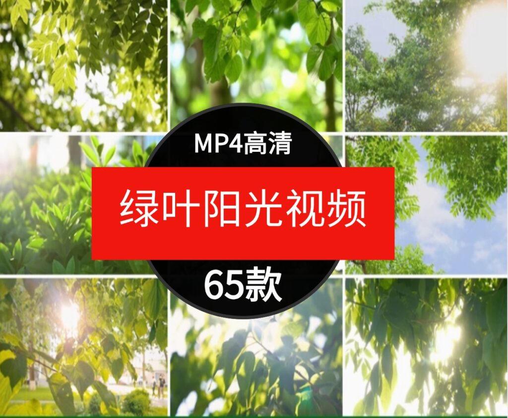 绿色小清新阳光穿透树叶自然美景森林治愈情感背景短片4K视频素材-黑马创业网