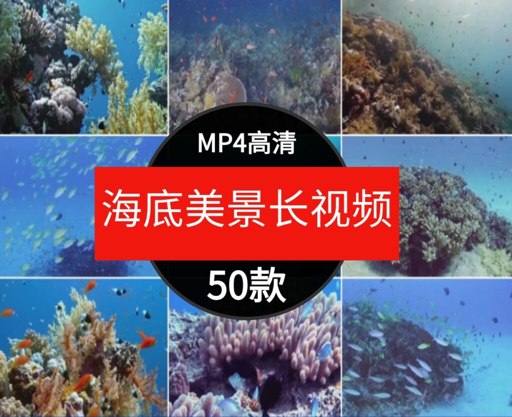 高清海底世界海洋生物鱼群海豚鲨鱼珊瑚潜水特写实拍剪辑视频素材-黑马创业网