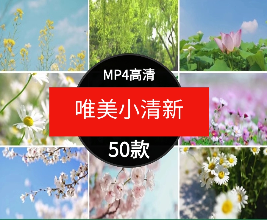 唯美绿色小清新花朵树叶自然阳光伤感治愈情感短片背景视频素材-黑马创业网